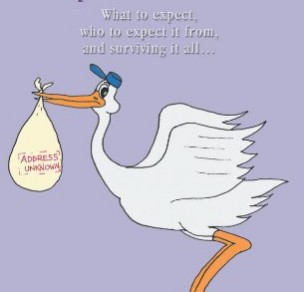 IVF: The Wayward Stork–What to Expect, Who to Expect It From, and Surviving It All?